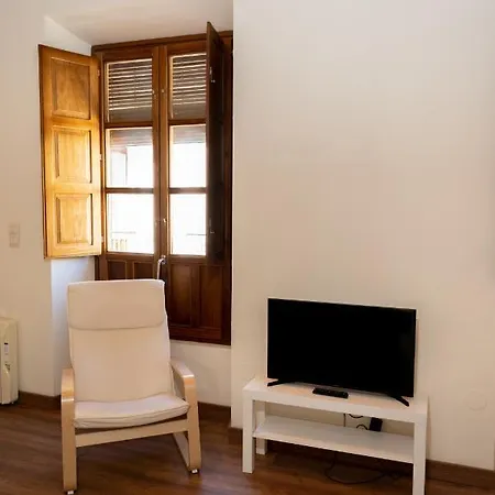 Apartment Puerta Real Luxury