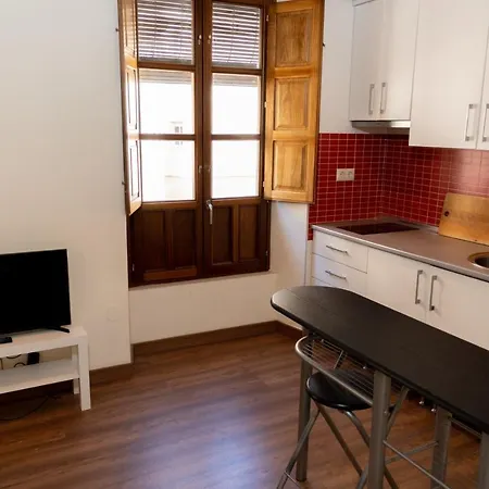 Apartment Puerta Real Luxury
